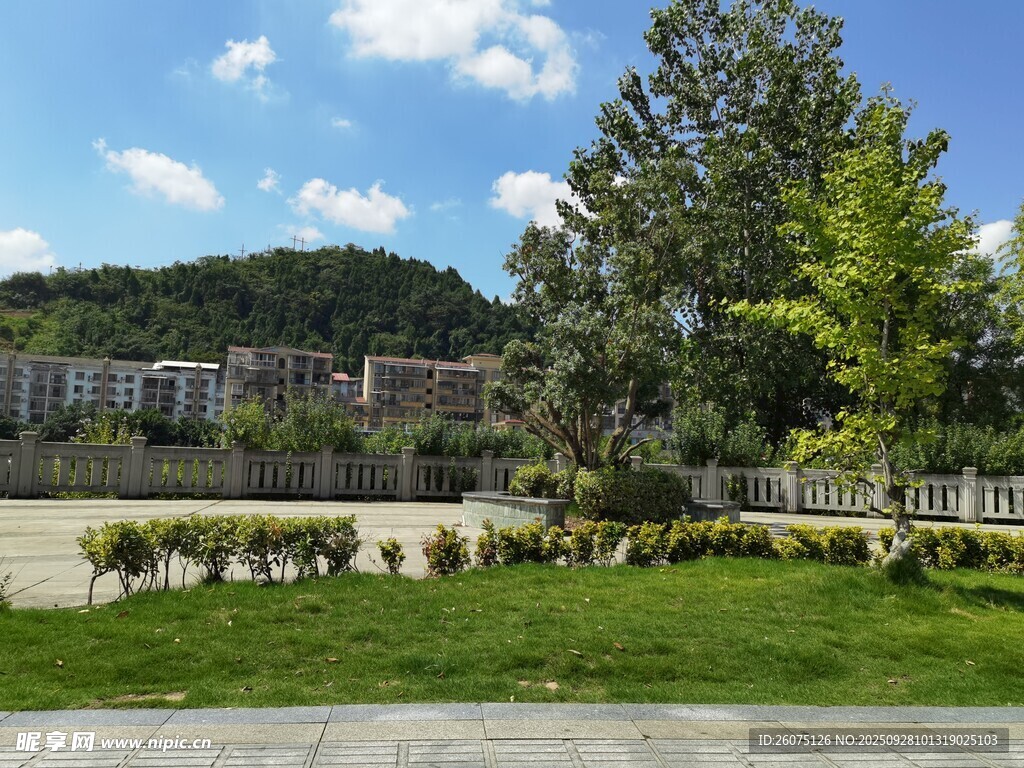 户外清新绿地景观