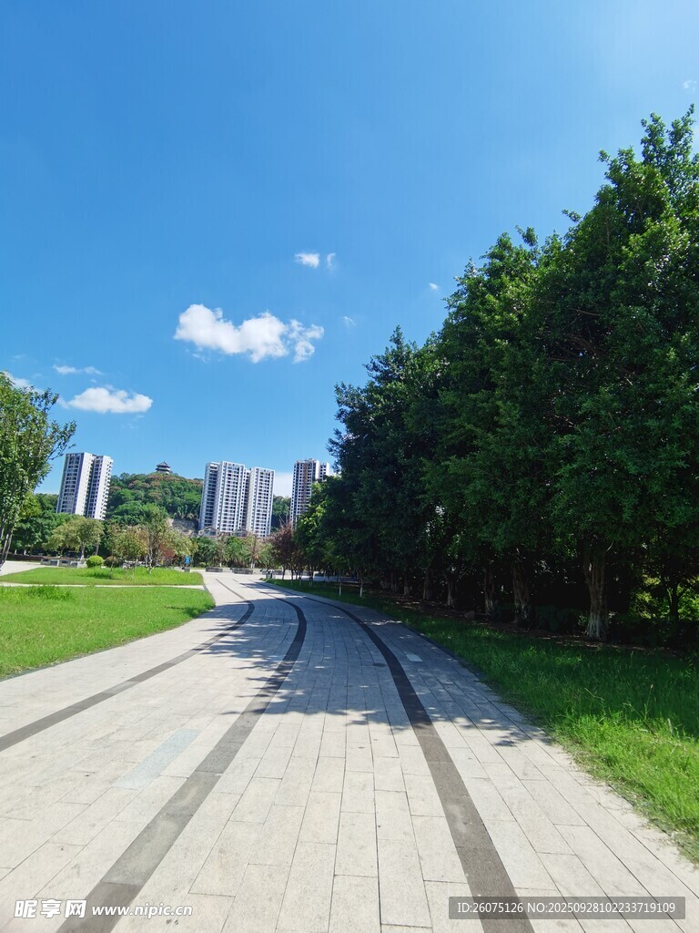 林荫步道畅享户外清新