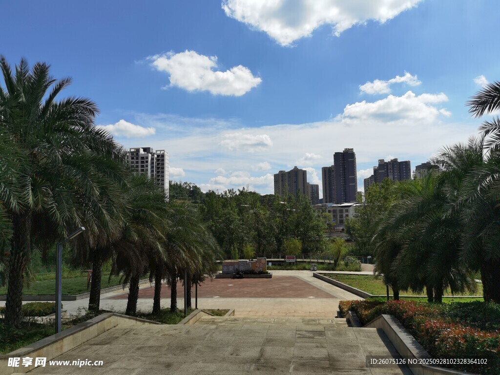 城市中的静谧园林景观