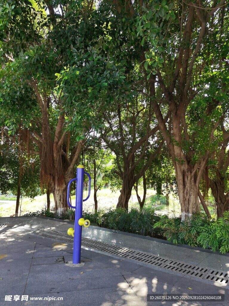 公园中的健身设施场景