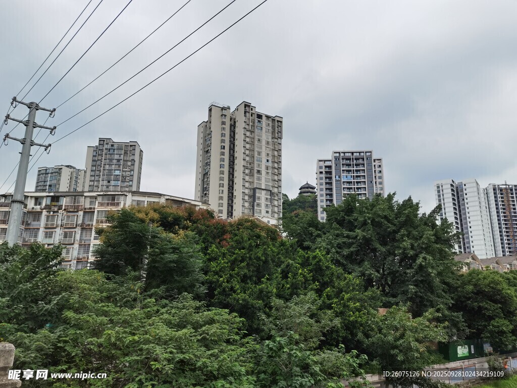 城市高楼与繁茂绿树景观