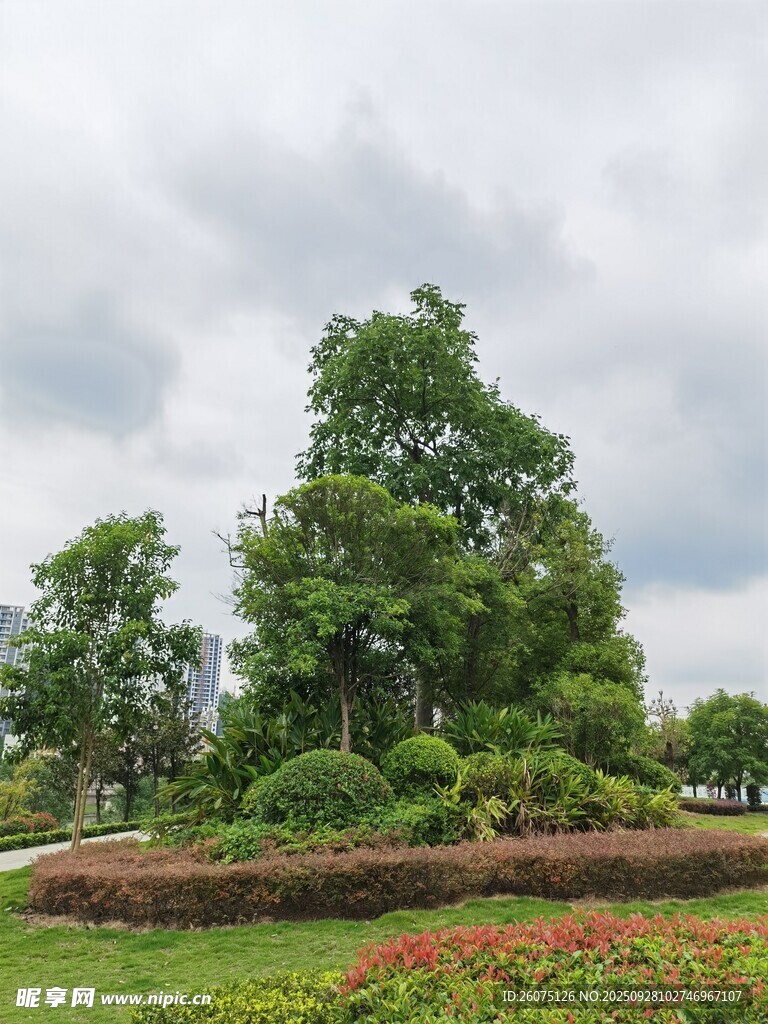 公园绿植景观