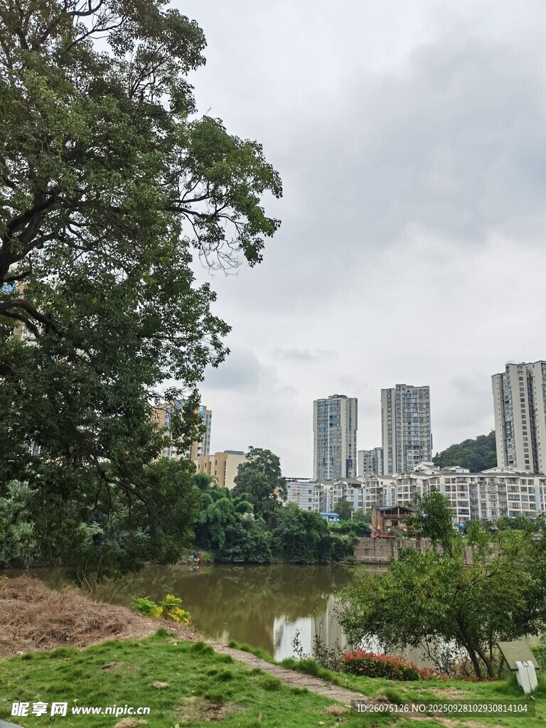 城市湖畔绿树风景