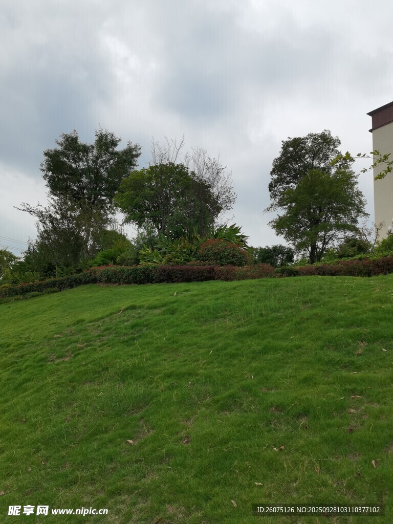 绿意盎然的户外风景