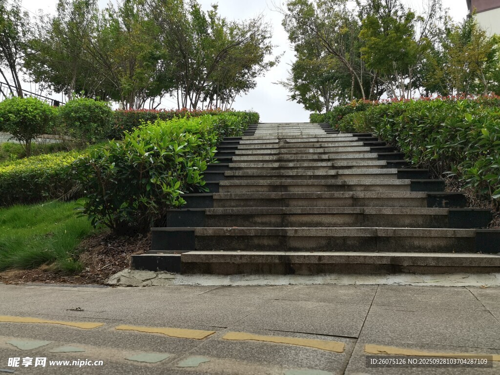 户外阶梯旁的绿植景观