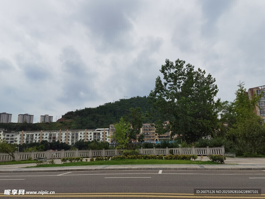 城郊风景绿树与建筑相映