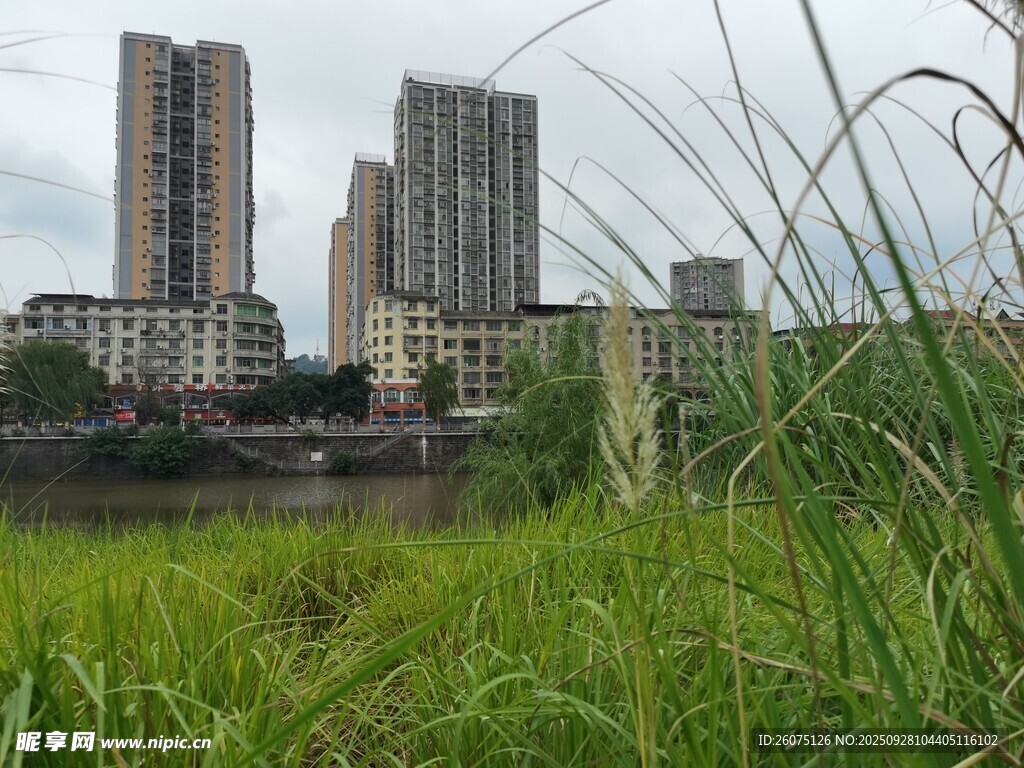 城市边的草地与高楼景观