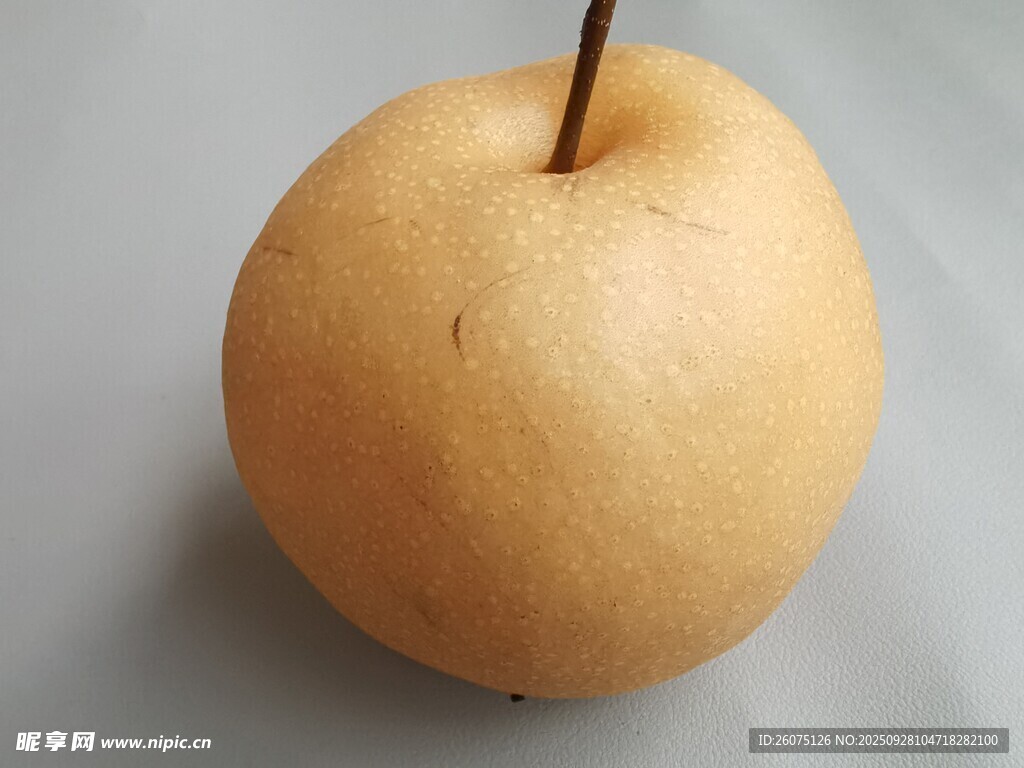 黄皮梨特写