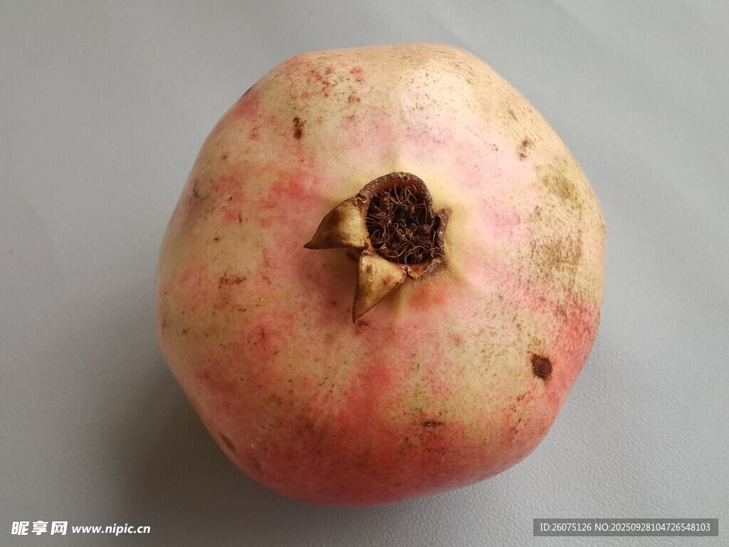 新鲜饱满的单个红石榴