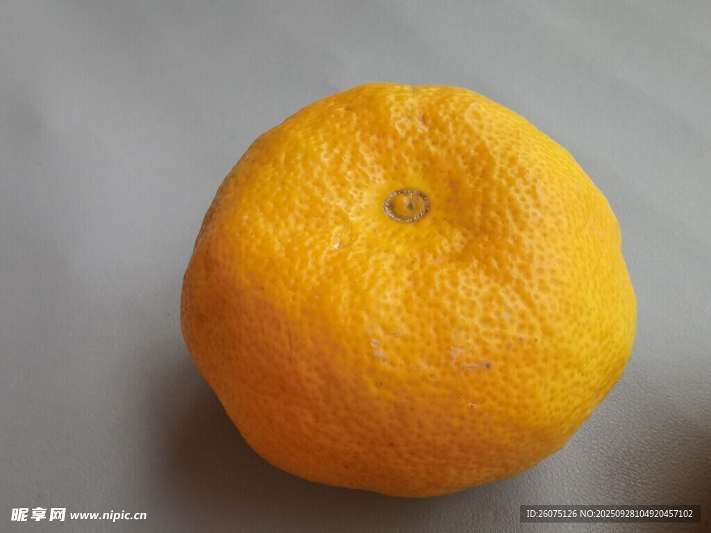 圆润饱满的新鲜橙子