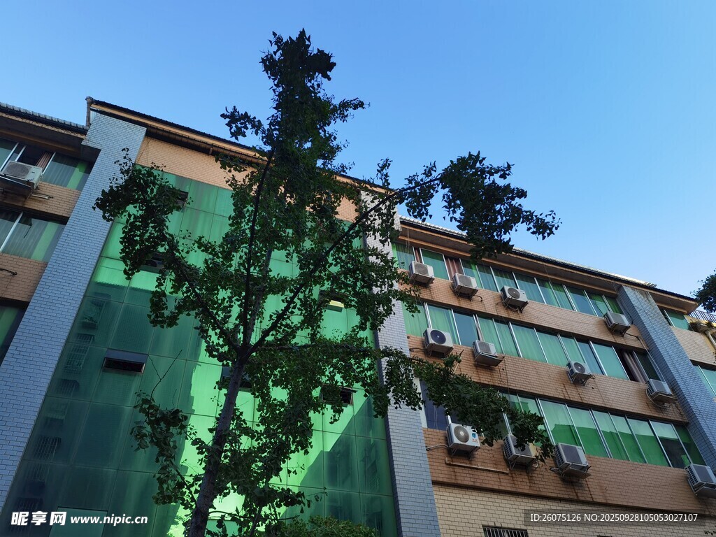 现代绿植环绕的多层建筑