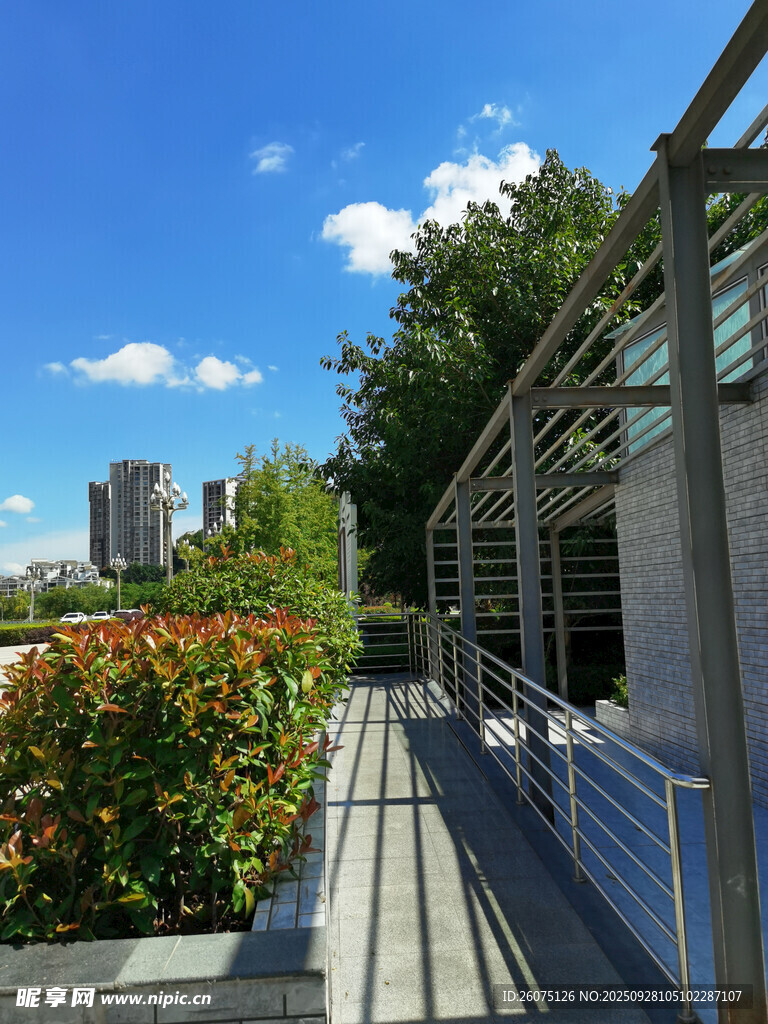 户外露台绿植景观设计
