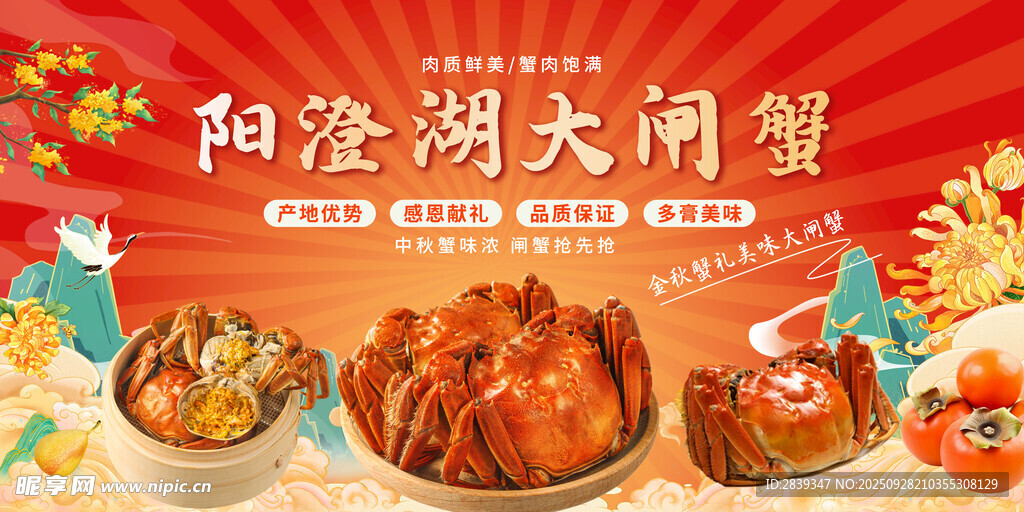 大闸蟹 