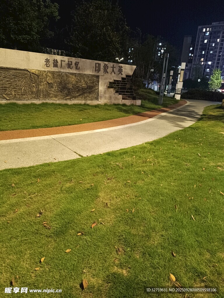 校园草坪夜景