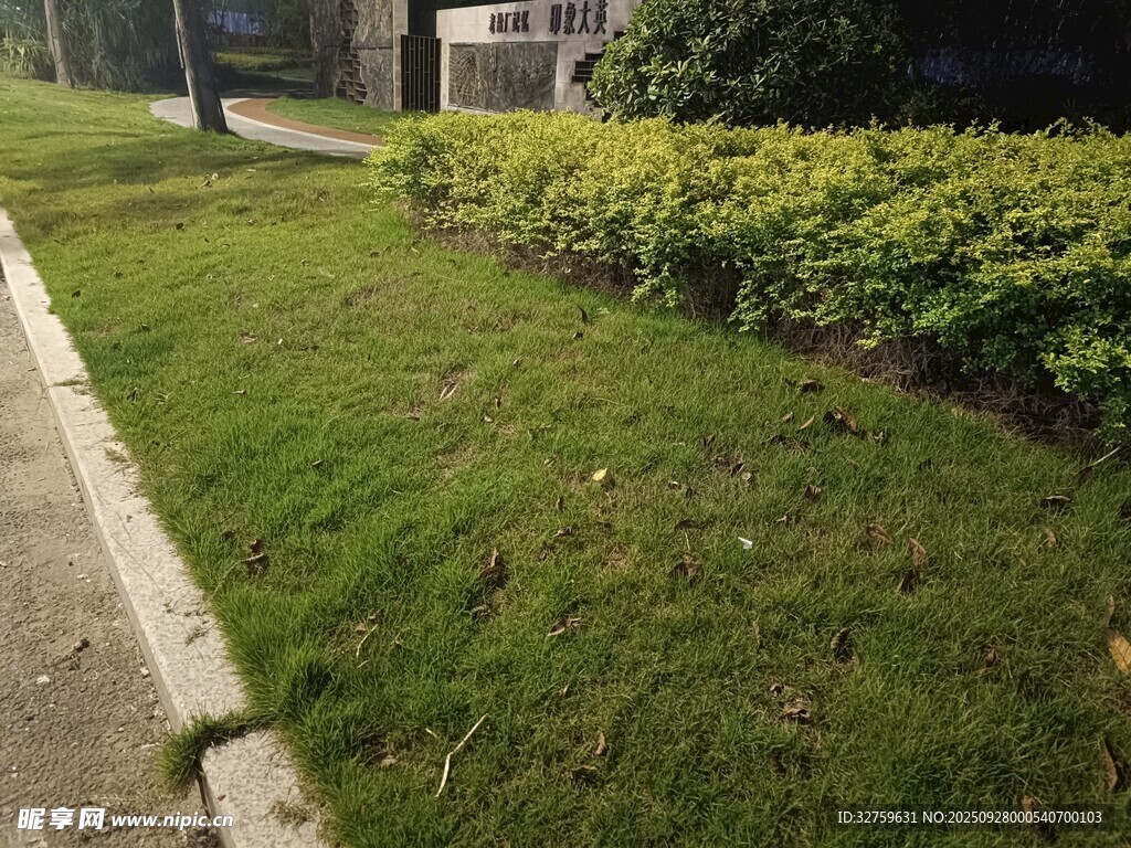 路边翠绿草坪与绿植景观