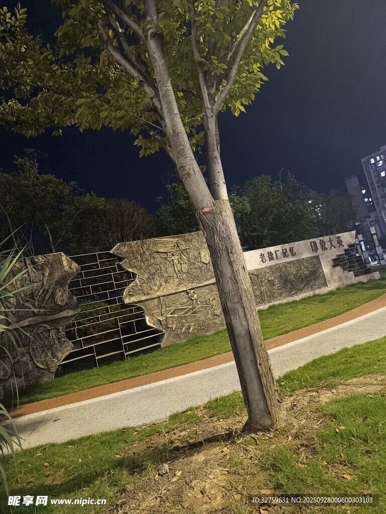 夜晚公园小径旁的树木