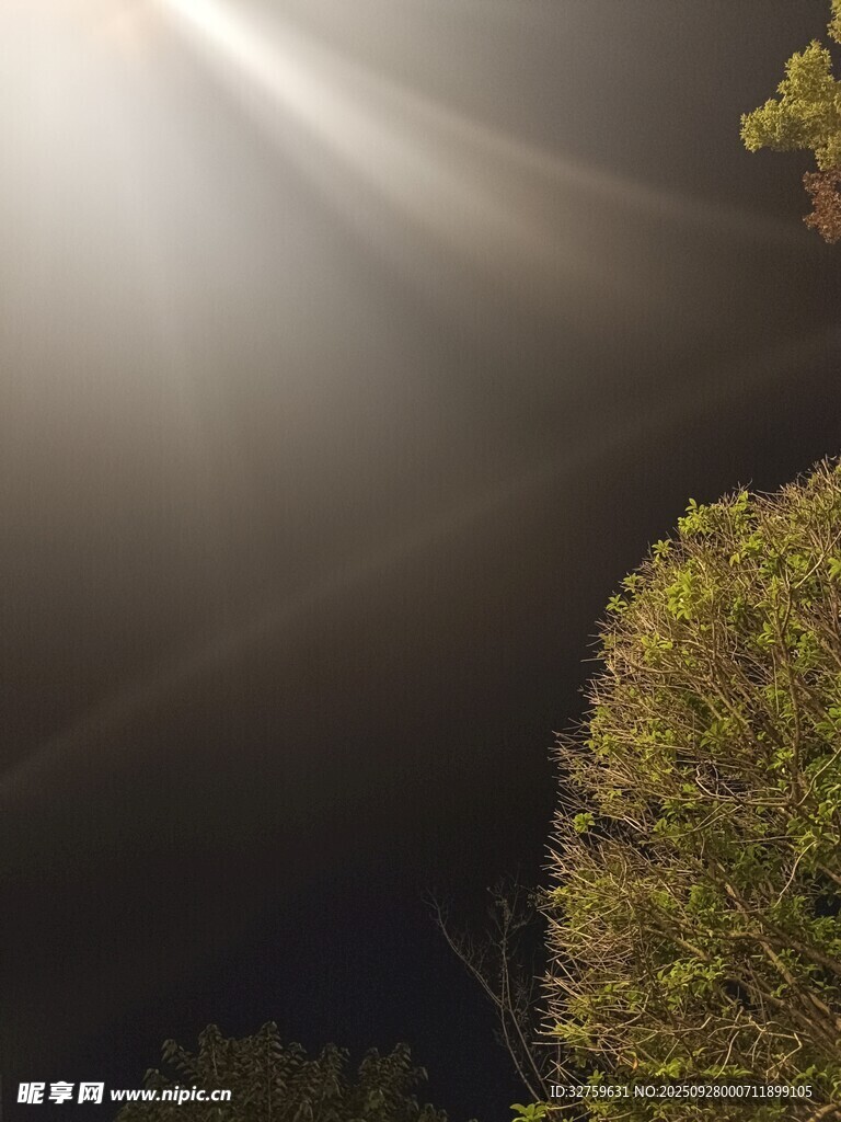 林间光束穿透夜色