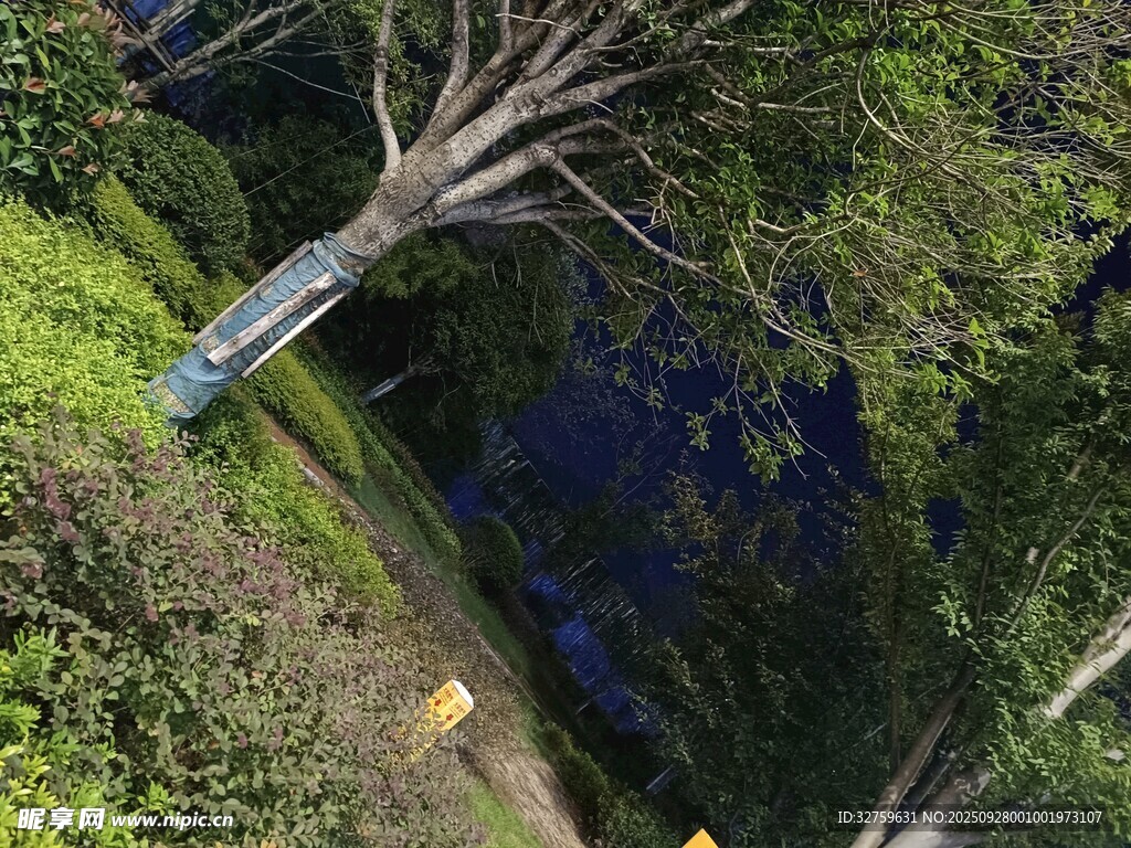 俯瞰山林中的蓝色水域
