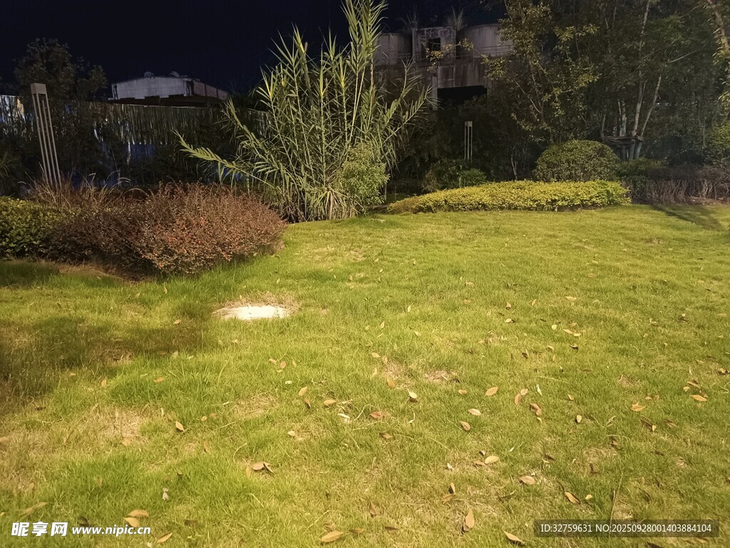 夜晚的静谧草坪景观