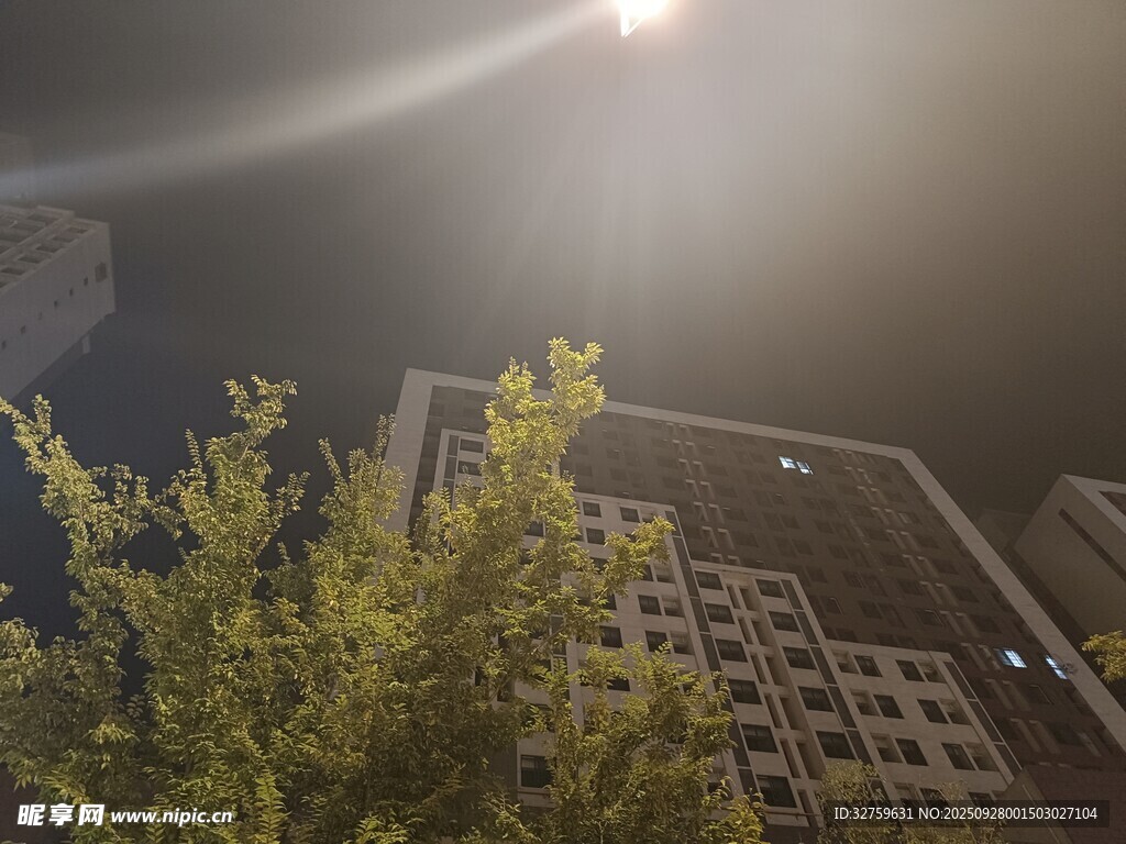 夜晚城市中树木与高楼景象