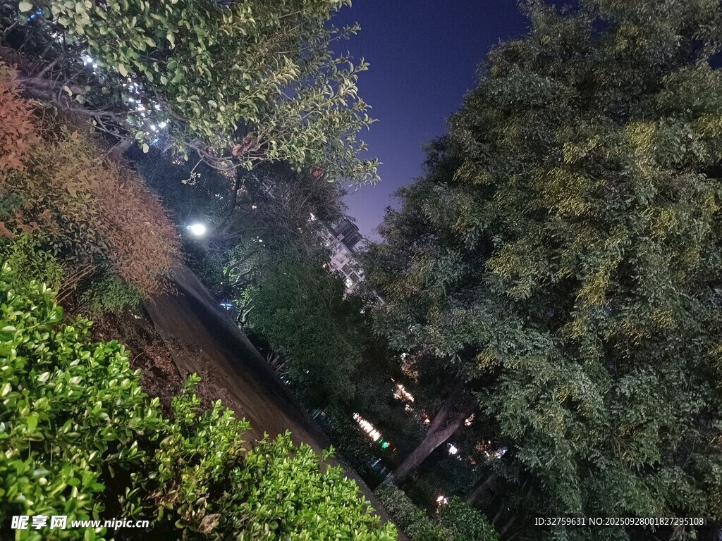 夜晚园林景色