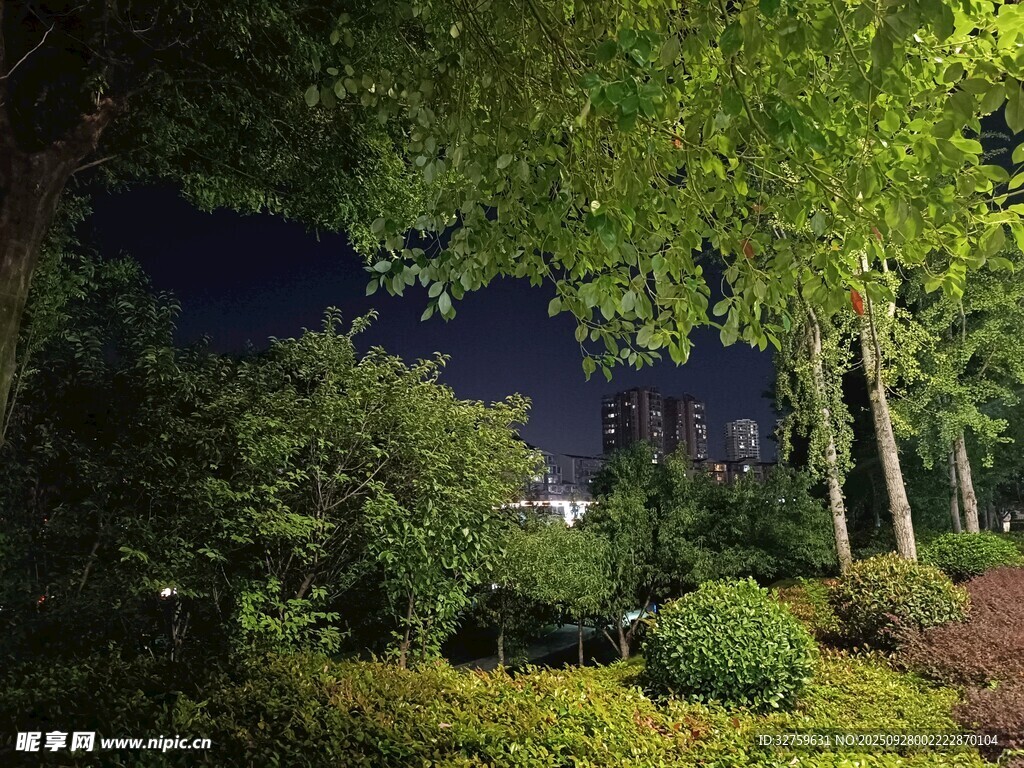 夜晚园林绿植景观