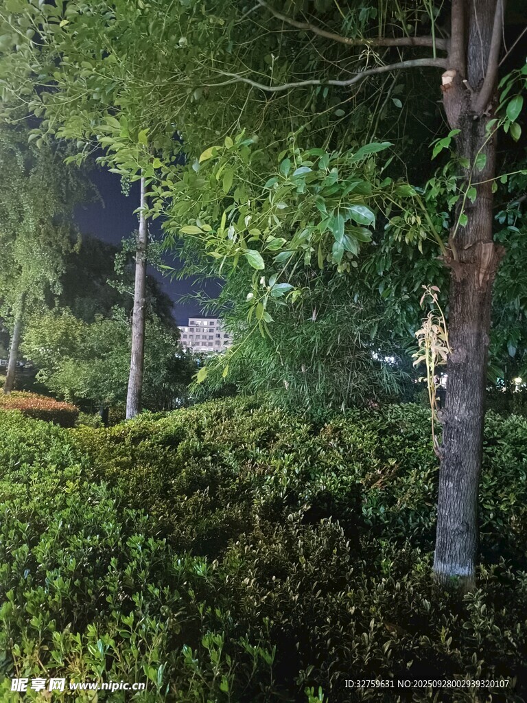 静谧绿植景观