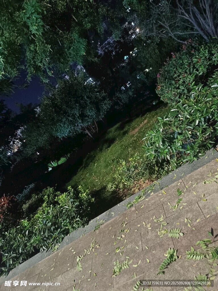 夜晚绿植景观