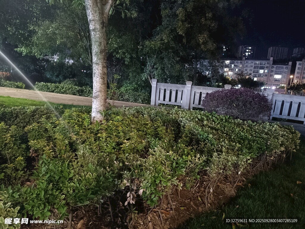 夜晚庭院绿植景观