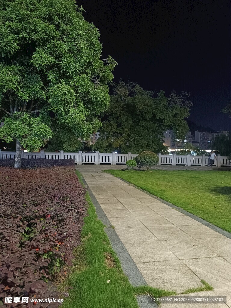 夜晚静谧的公园小径