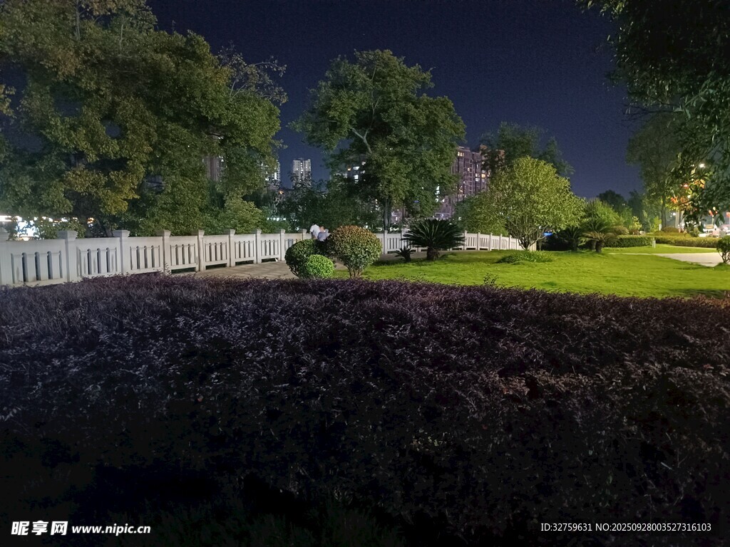 夜晚庭院绿植景观