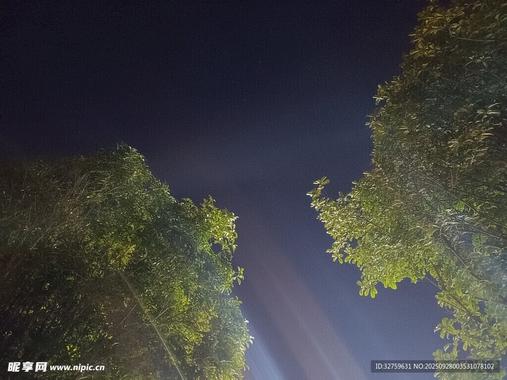 林间夜空下的神秘光束