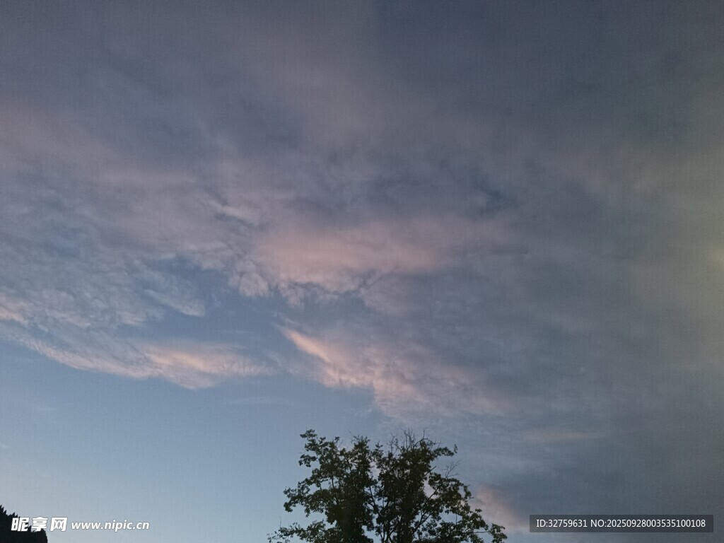 傍晚天空与树梢的美景