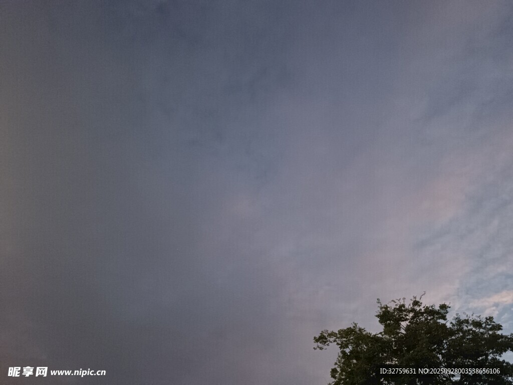 树梢上的天空美景