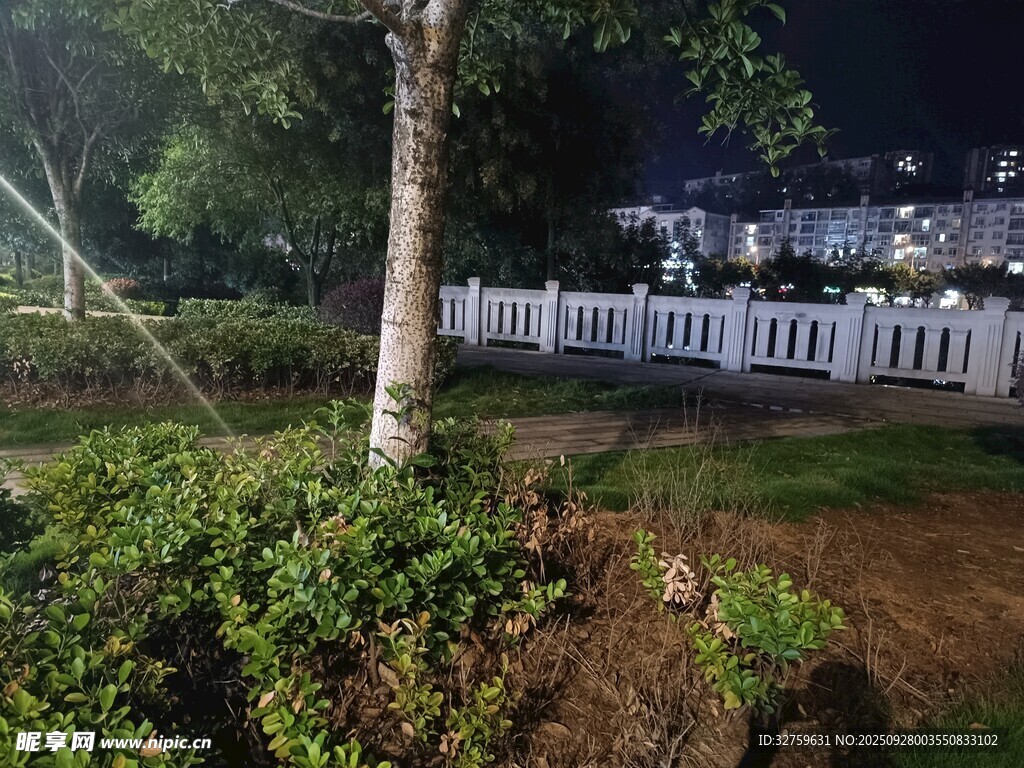 夜晚公园绿植与围栏景象