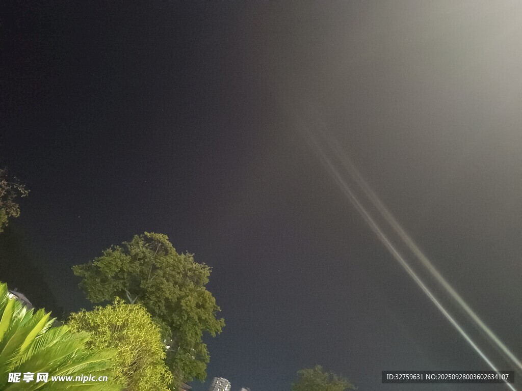 夜空下的树木与光线轨迹