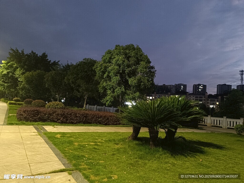 夜晚公园静谧美景