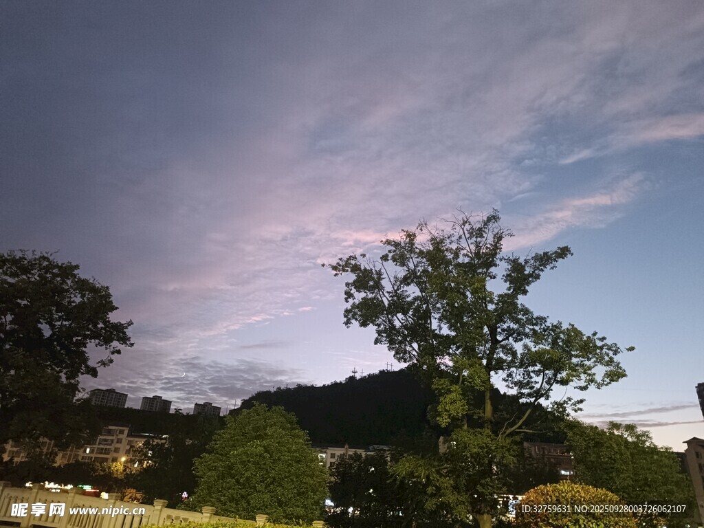 黄昏下的树木与绚丽天空