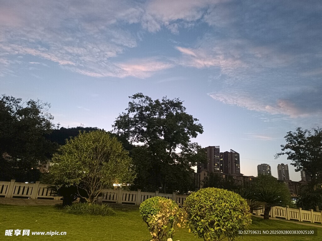 黄昏下的庭院绿植景观