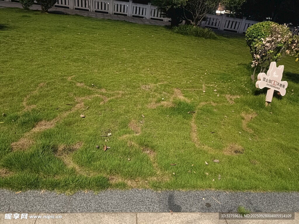 草坪受损景象