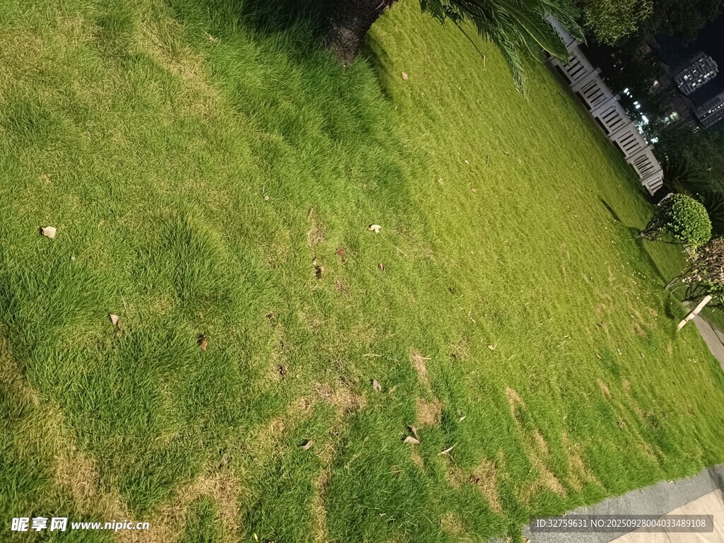 户外草地俯瞰景象