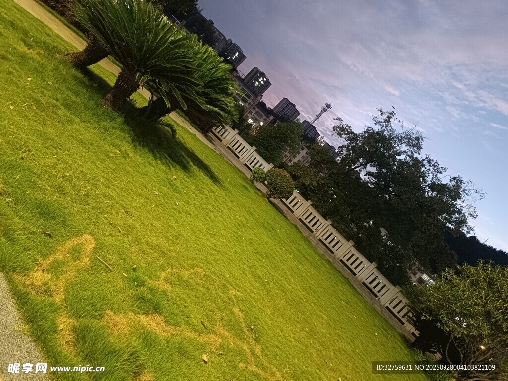 户外草地与绿植景观