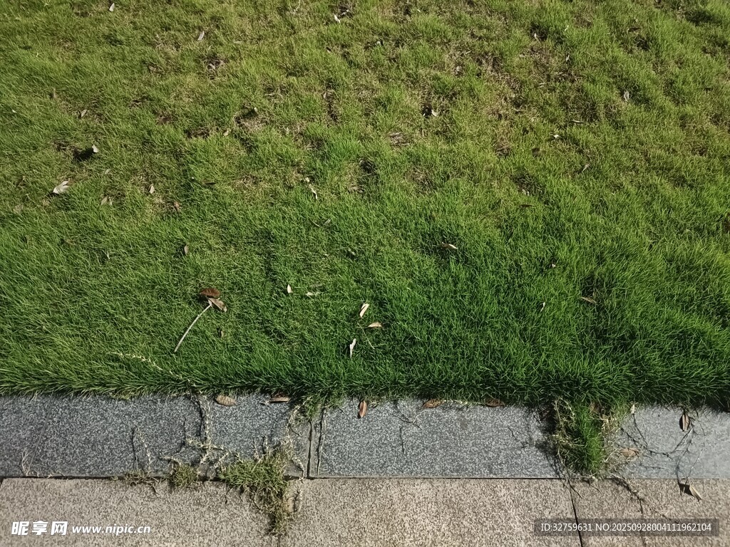 路边草地与水泥边缘景象