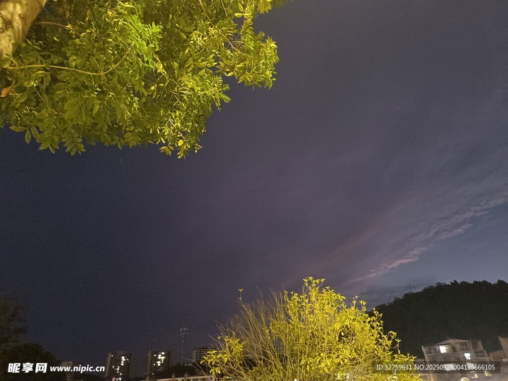 夜空下的绿树与城市景象