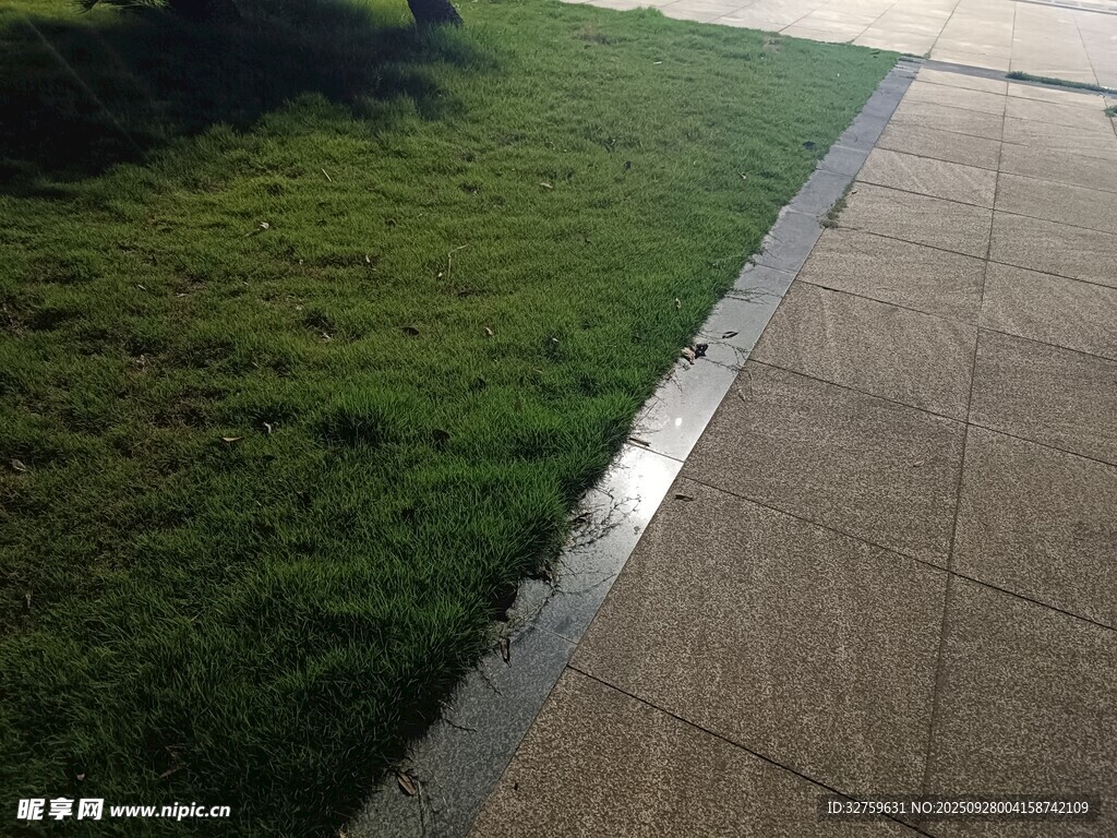 雨后草地旁的湿润步道