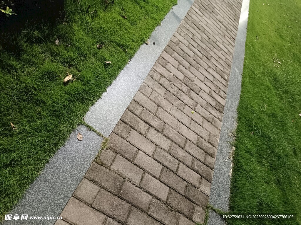 砖石小径旁的翠绿草坪