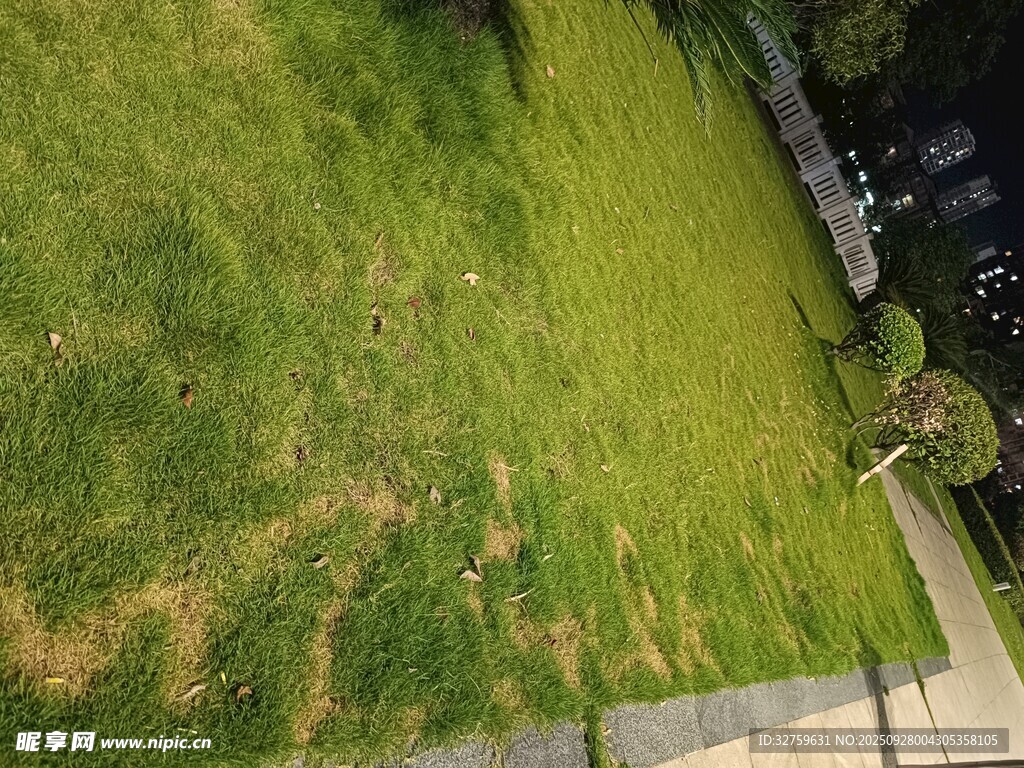 户外翠绿草地俯瞰景象