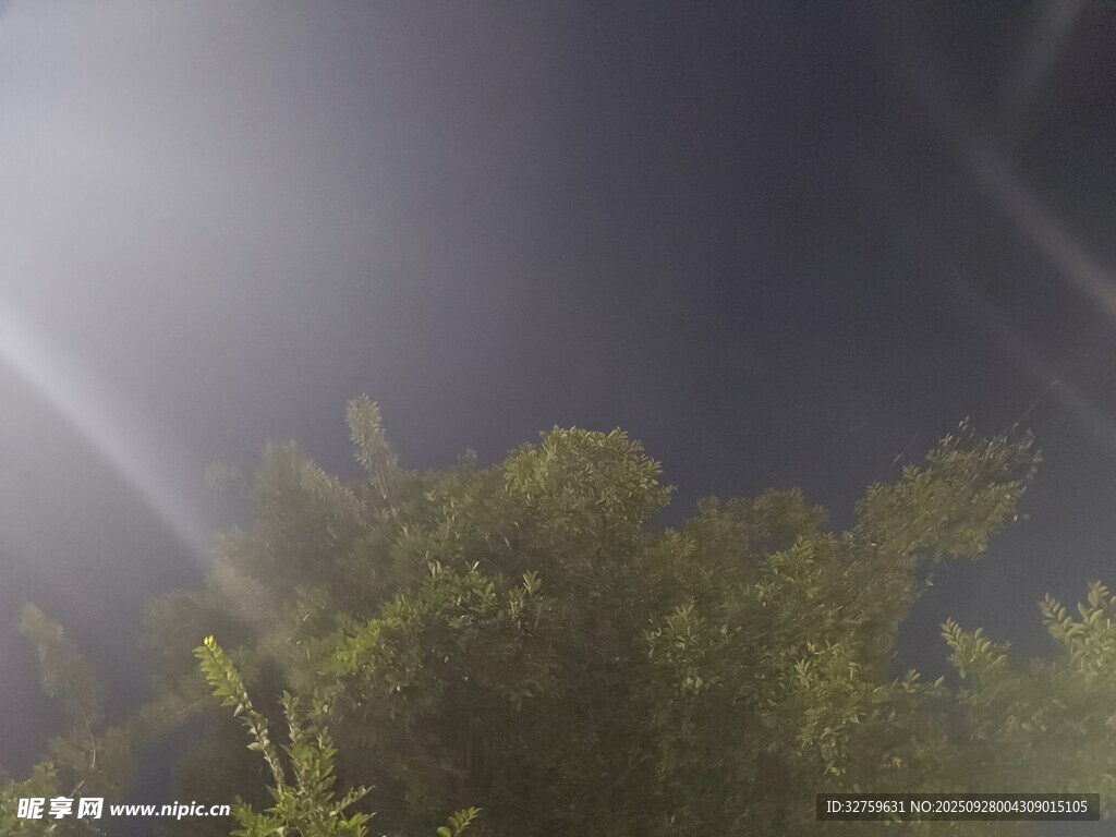 林间光束穿透夜空景象