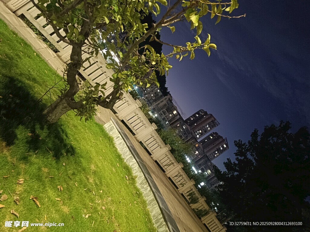 夜晚公园一角的静谧景致