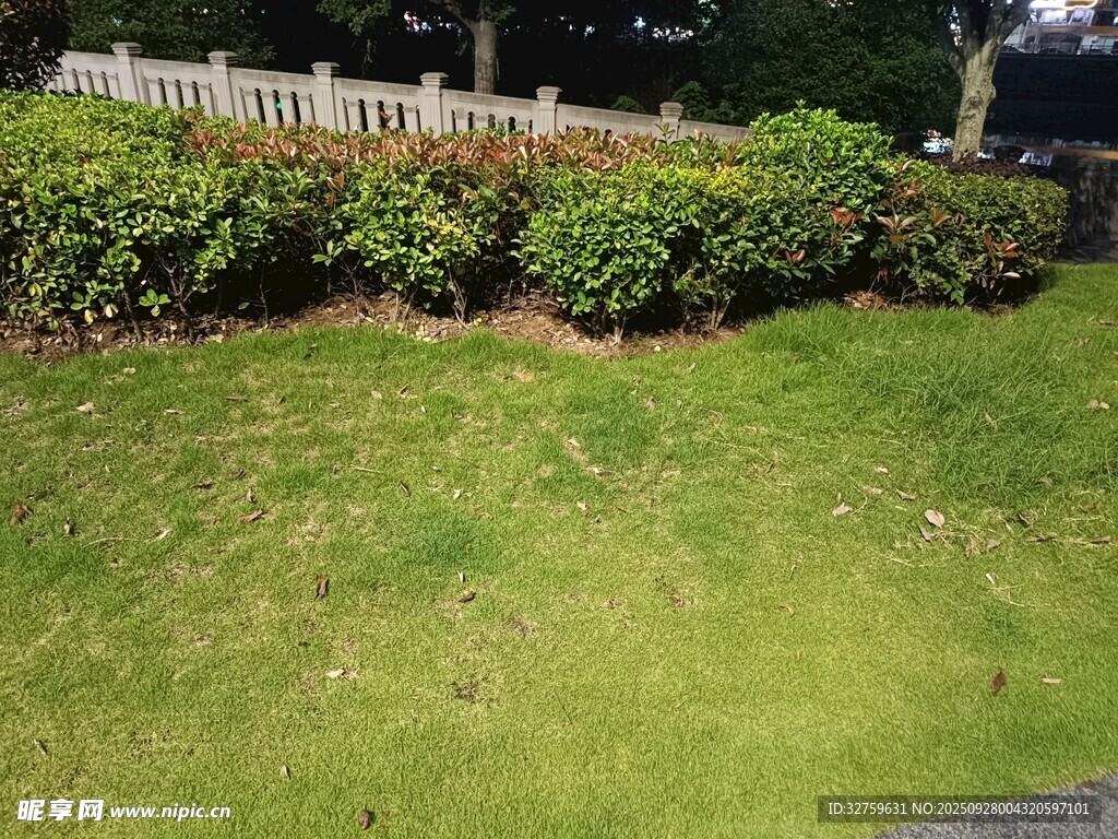 绿意盎然的庭院草坪景观